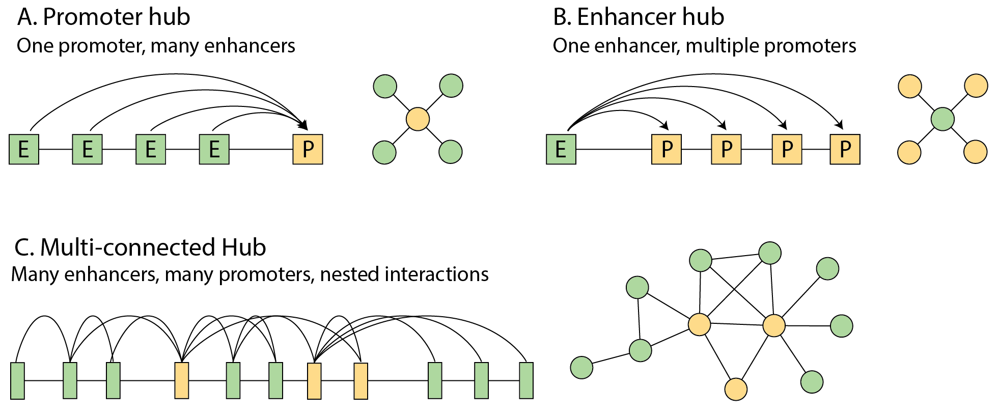 Diagram of types of multi-connected EP Hubs